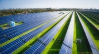 MAURICE : GreenYellow va construire une centrale solaire de 13,86 MWc à Arsenal© Youra Pechkin/Shutterstock