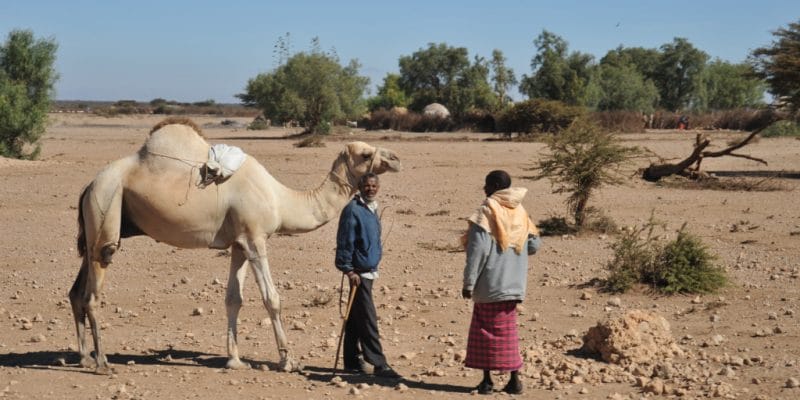 SOMALIA: Stockholm releases $2m for drought resilient agriculture ©Free Wind 2014/Shutterstock