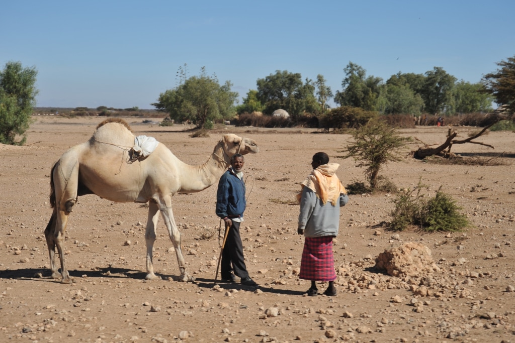 SOMALIA: Stockholm releases $2m for drought resilient agriculture ©Free Wind 2014/Shutterstock