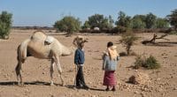 SOMALIE : Stockholm débloque 2 M$ pour l’agriculture résiliente face à la sécheresse ©Free Wind 2014/Shutterstock