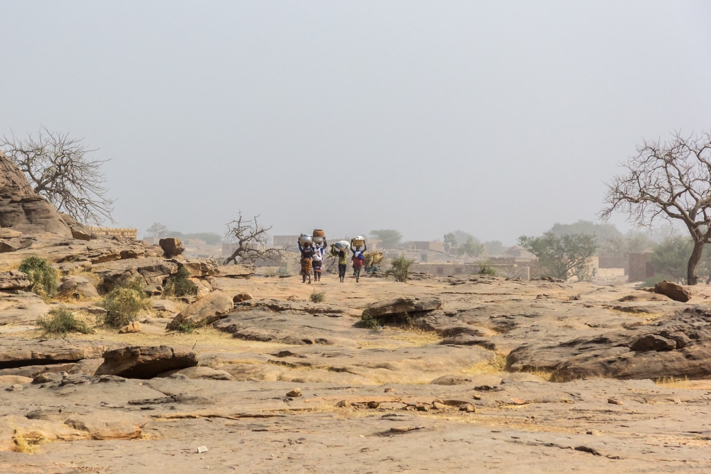 MALI: in the face of drought, ARC pays out $7 million in insurance©Torsten Pursche/Shutterstock