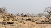 MALI : face à la sécheresse, l’ARC verse une assurance de 7 M$©Torsten Pursche/Shutterstock