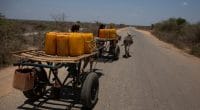 SOMALIE : frappées par la sécheresse, 17 000 personnes contraintes de se déplacer ©Amors photos/Shutterstock