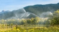 MOROCCO: Spain's Hidroconta to reduce irrigation water consumption in Aoulouz©DarwelShots/Shutterstock