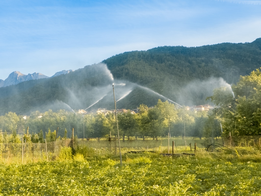 MAROC : l’espagnole Hidroconta réduira la consommation d’eau d’irrigation à Aoulouz©DarwelShots/Shutterstock