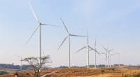 NIGER: UK-based Savannah Energy to build 250 MW wind farm in Tahoua©Visual Storyteller/Shutterstock