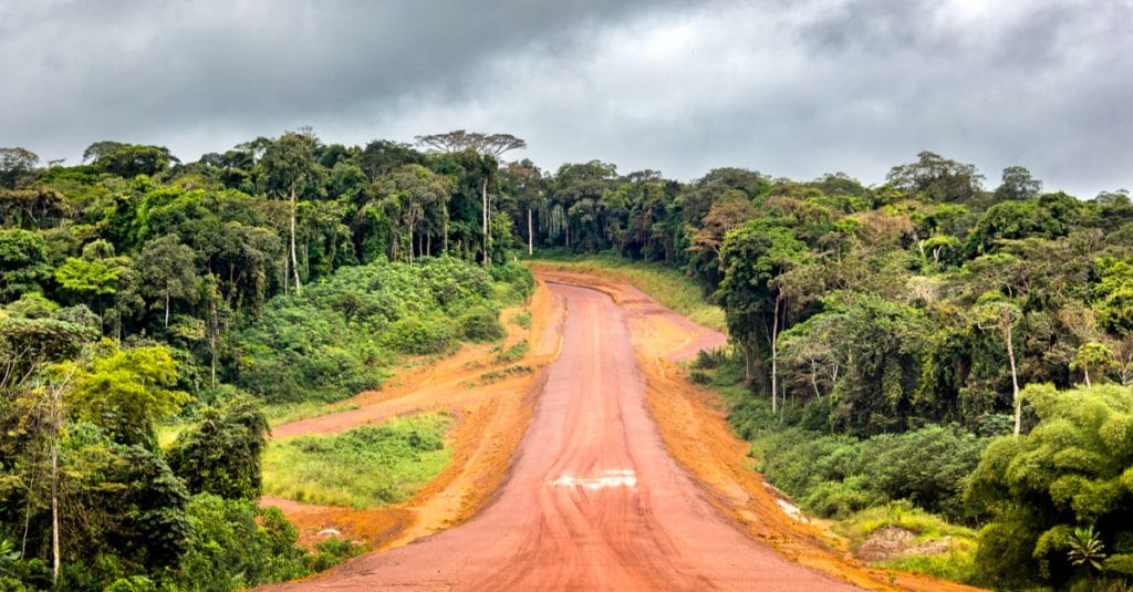 CAMEROUN: le WWF va assurer la gestion intégrée des paysages forestiers dans le Sud©Ayotography /Shutterstock