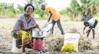 AFRICA: MCFA launches clean cooking financing programme in 6 countries © NEFCO