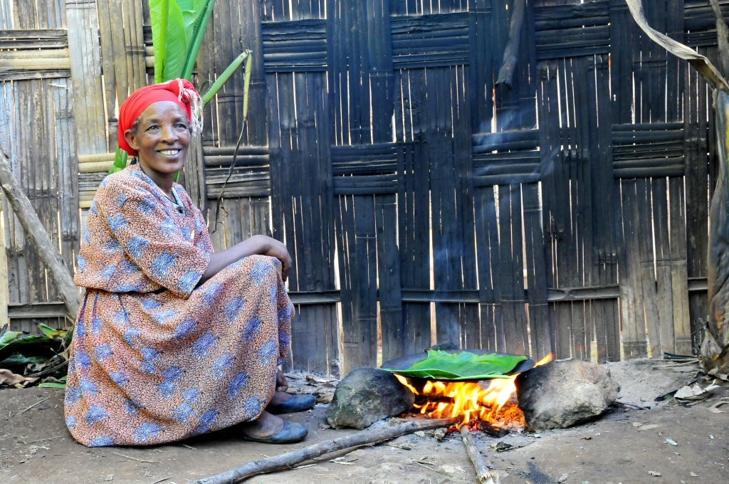 AFRIQUE : la RVO et Charm s’associent pour des investissements dans la cuisson propre©Claudiovidri/Shutterstock