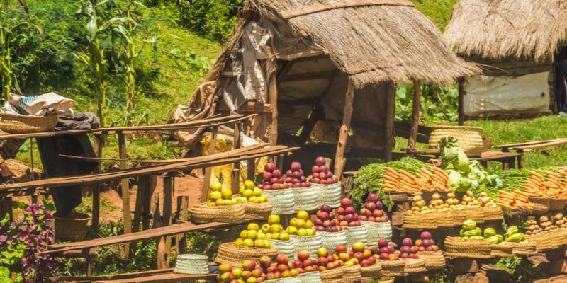 AFRICA: The 4th GoGettaz Agripreneur Prize accelerates on sustainable food ©LouieLea/Shutterstock