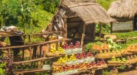AFRIQUE : le 4e GoGettaz Agripreneur Prize accélère sur l’alimentation durable ©LouieLea/Shutterstock