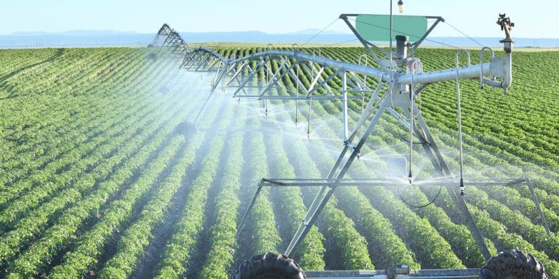 ZIMBABWE: SIRP Irrigation Program Receives $51 Million in Additional Funding©B Brown/Shutterstock