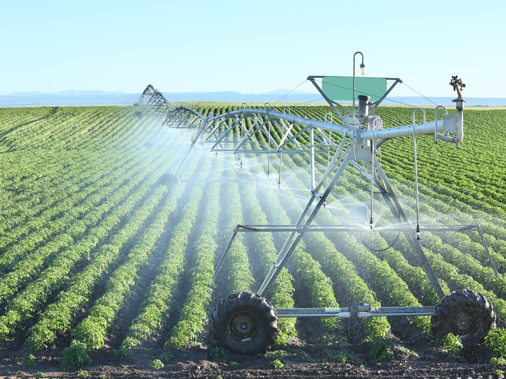 ZIMBABWE : le programme d’irrigation SIRP reçoit un financement additionnel de 51 M$©B Brown/Shutterstock