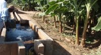 GHANA: €44 million AFD and EU grant for 35 irrigation schemes©BOULENGER Xavier/Shutterstock