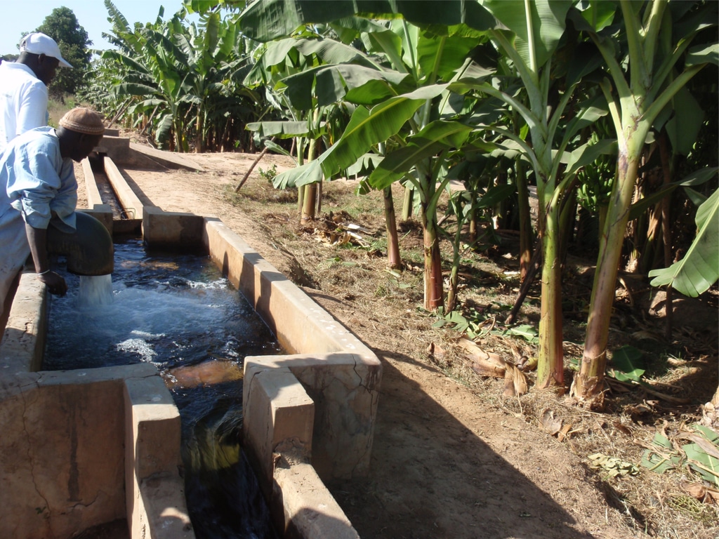 GHANA: €44 million AFD and EU grant for 35 irrigation schemes©BOULENGER Xavier/Shutterstock