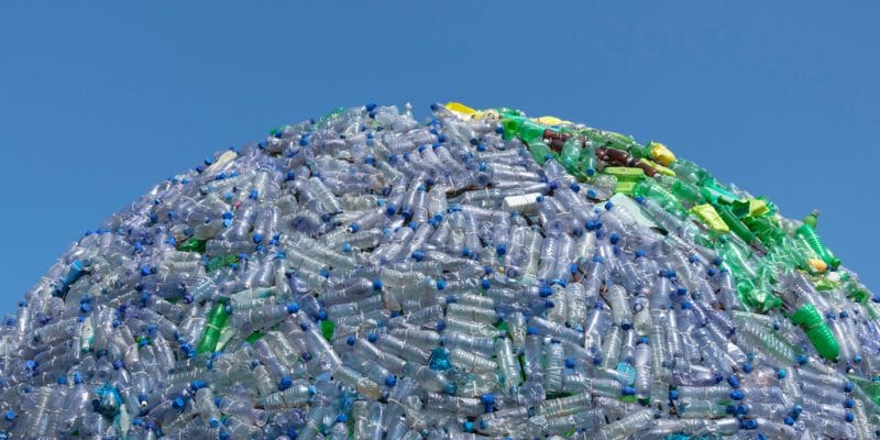 ÉGYPTE : les RVM de Dawarha collectent 15 000 bouteilles plastiques par mois au Caire ©Frankvr/Shutterstock