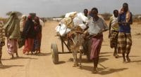 AFRIQUE DE L'EST: la sécheresse menace de famine, 20 millions de personnes©mehmet ali poyraz/Shutterstock