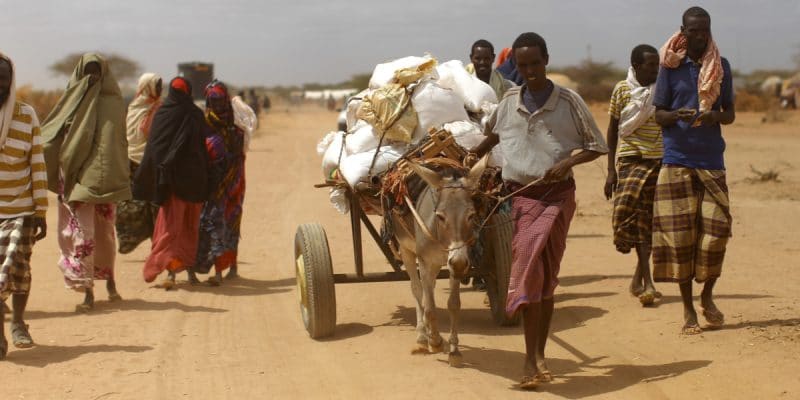 AFRIQUE DE L'EST: la sécheresse menace de famine, 20 millions de personnes©mehmet ali poyraz/Shutterstock