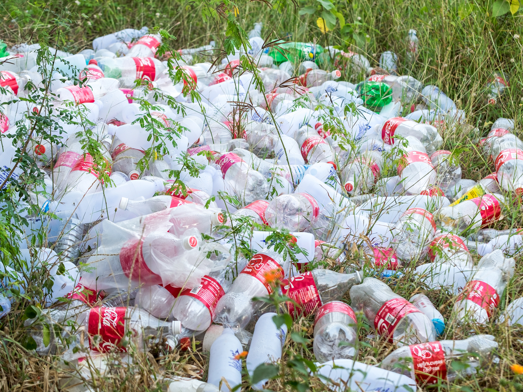 NIGÉRIA : en 3 ans, Coca-Cola a investi 3 M$ dans le recyclage des déchets plastiques ©Mumemories/Shutterstock