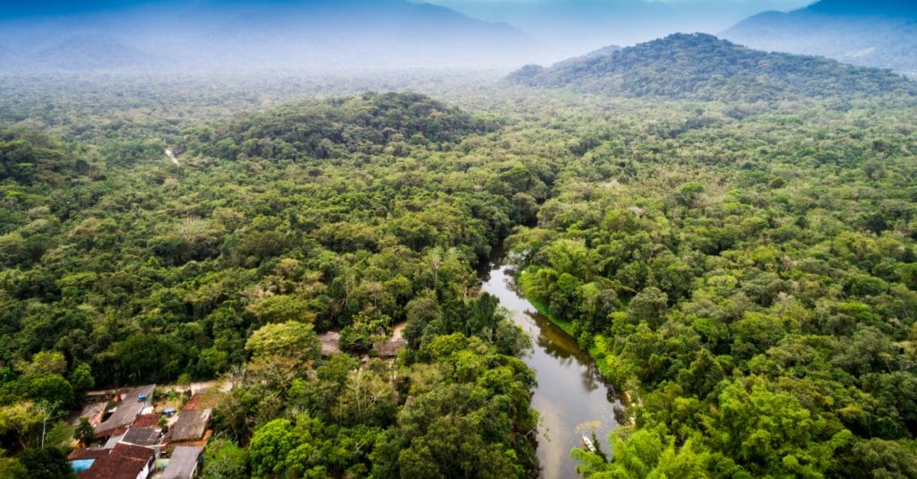 DRC: WCS finally gets management of Kahuzi-Biega National Park©Gustavo Frazao/Shutterstock