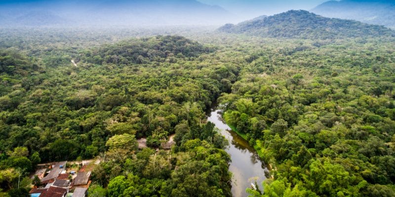 RDC : WCS obtient en fin la gestion du parc national de Kahuzi-Biega©Gustavo Frazao/Shutterstock