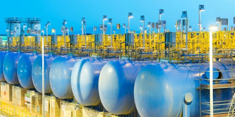 ALGÉRIE : l’AEC dotera cinq villes de stations de dessalement de l’eau de mer© Jose Luis Stephens/Shutterstock