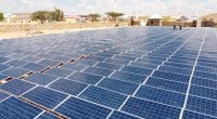 AFRICA: Alliance funds $50m for access to clean energy through UEF © Sebastian Noethlichs/Shutterstock