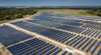 ZAMBIE : Africa GreenCo mobilise 15,5 M$ pour le négoce des énergies renouvelables ©Jen Watson/Shutterstock