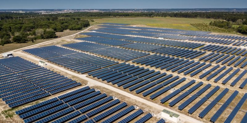ZAMBIE : Africa GreenCo mobilise 15,5 M$ pour le négoce des énergies renouvelables ©Jen Watson/Shutterstock