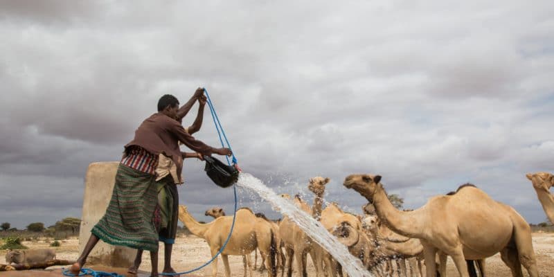 SOMALIA: A solar-powered desalination system provides water to Caynabo ©Faid Elgziry/Shutterstock