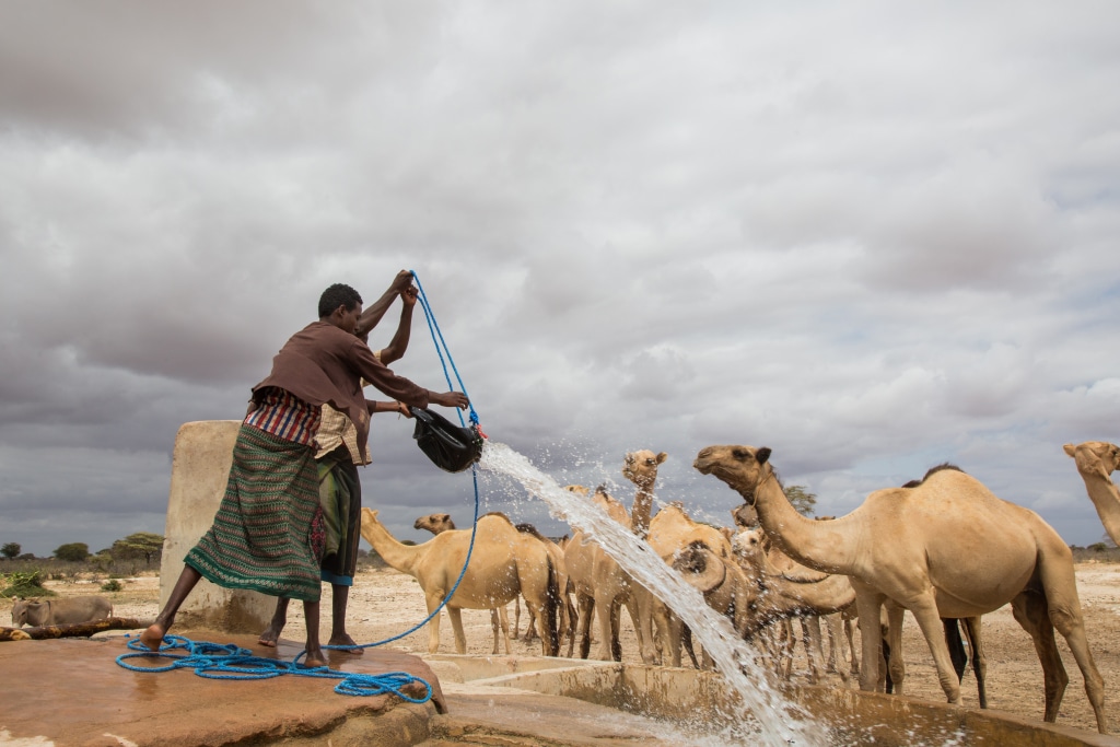 SOMALIA: A solar-powered desalination system provides water to Caynabo ©Faid Elgziry/Shutterstock