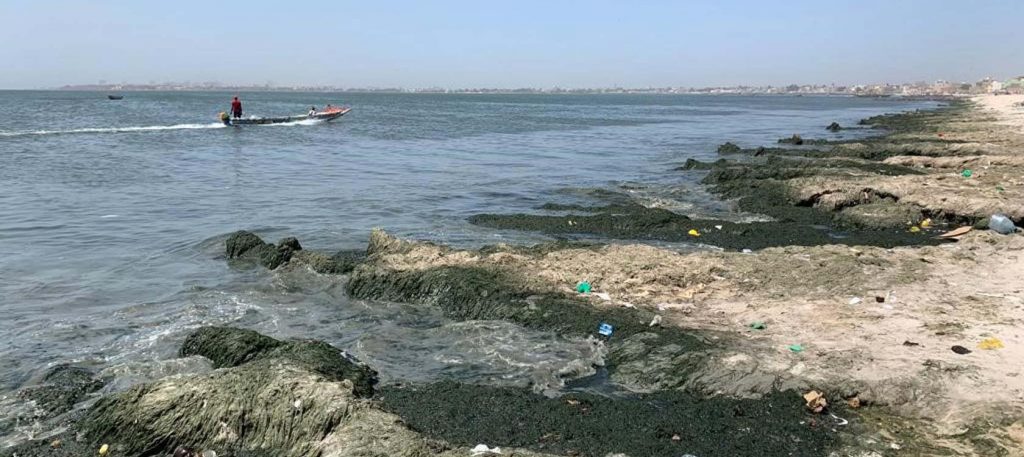SENEGAL: Suez wins the contract to clean up Hann Bay in Dakar © AFD