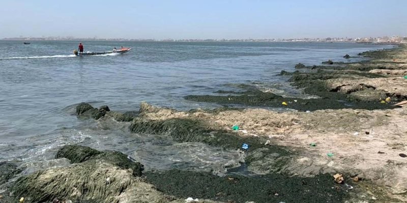SENEGAL: Suez wins the contract to clean up Hann Bay in Dakar © AFD