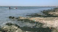 SÉNÉGAL : Suez gagne le contrat de la dépollution de la Baie de Hann à Dakar © AFD