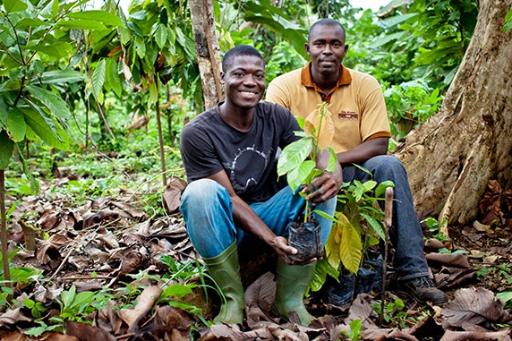 CÔTE D’IVOIRE : face à la déforestation, Nestlé renforce sa démarche écoresponsable ©Nestlé