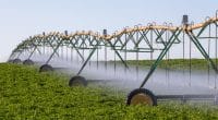 EGYPT: CBE lends $162m to ABE for modern irrigation in 2 governorates©Wanderlust Media/Shutterstock