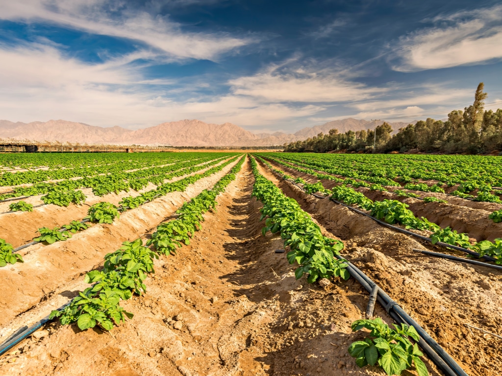 MAROC : une étude de faisabilité pour aménager 5 400 hectares de terres à Fès-Meknès©Sergei25/Shutterstock