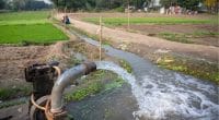 AFRIQUE DU SUD : HydroNET, un centre pour rationaliser la gestion de l’eau ©PradeepGaurs/Shutterstock