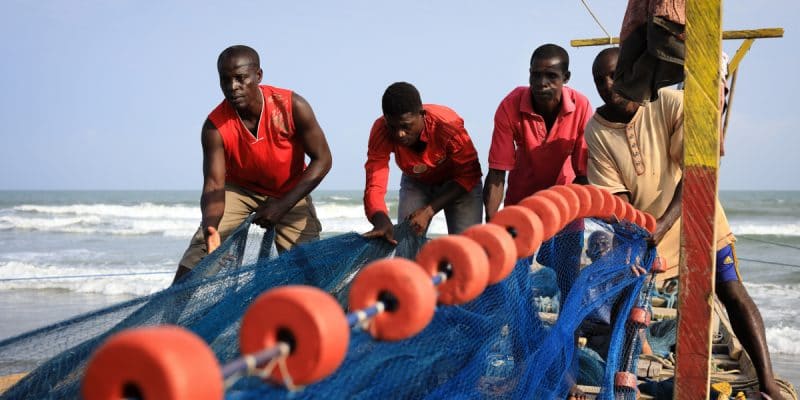 ZAMBIA: Pro-Nature project fisheries component launched ©Dietmar Temps/Shutterstock