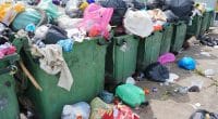 GAMBIE : à Brikama, Mbalo lance un projet de gestion des déchets organiques © Augustine Bin Jumat/ Shutterstock