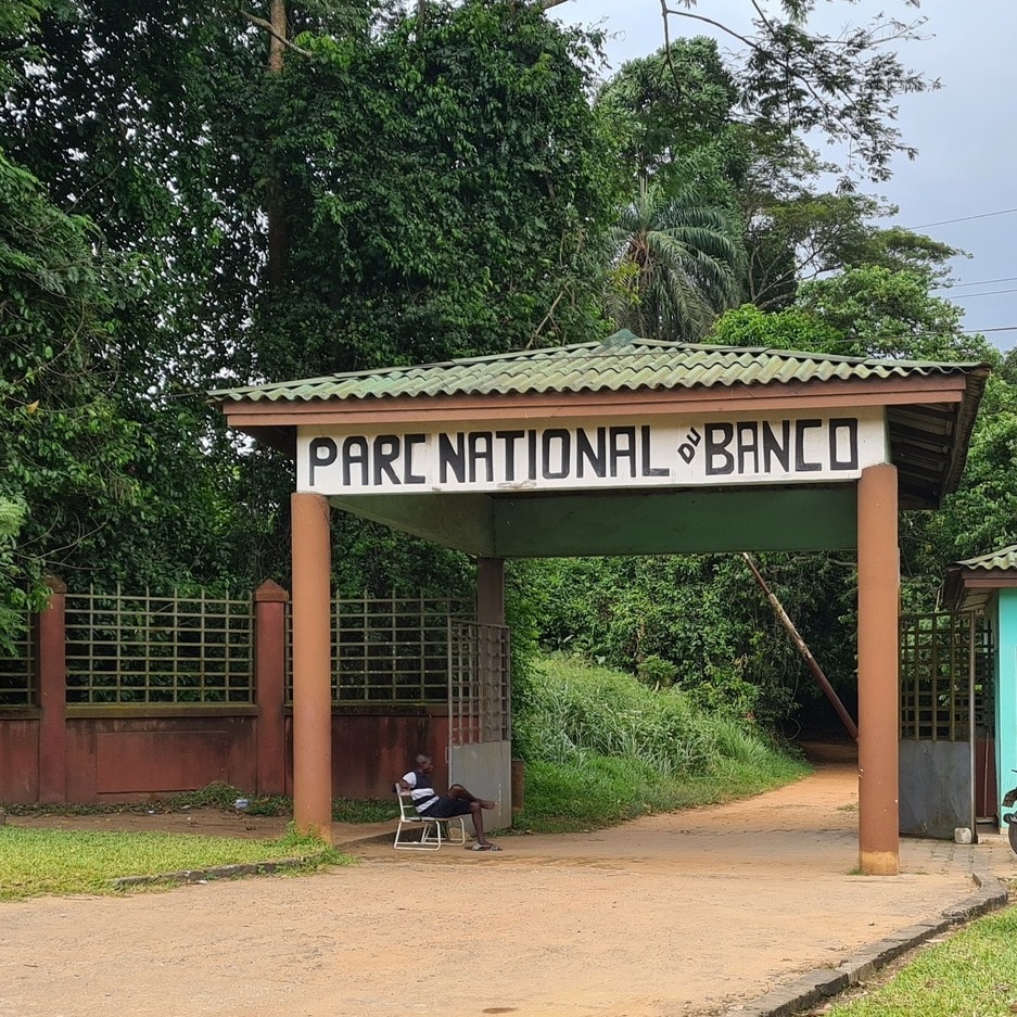 CÔTE D’IVOIRE : une clôture en béton pour protéger le parc national du Banco à Abidjan©ParcnationalduBanco