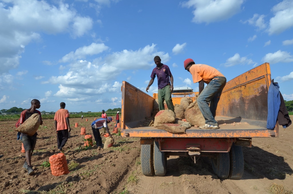 MALAWI: $9m ADRiFi programme to support climate resilience © africa924/Shutterstock