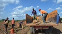 MALAWI : avec 9 M$, le programme ADRiFi soutiendra la résilience climatique © africa924/Shutterstock