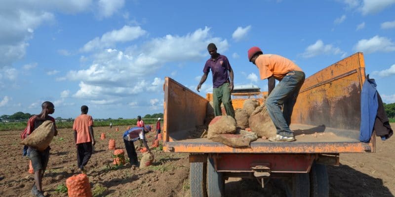 MALAWI : avec 9 M$, le programme ADRiFi soutiendra la résilience climatique © africa924/Shutterstock