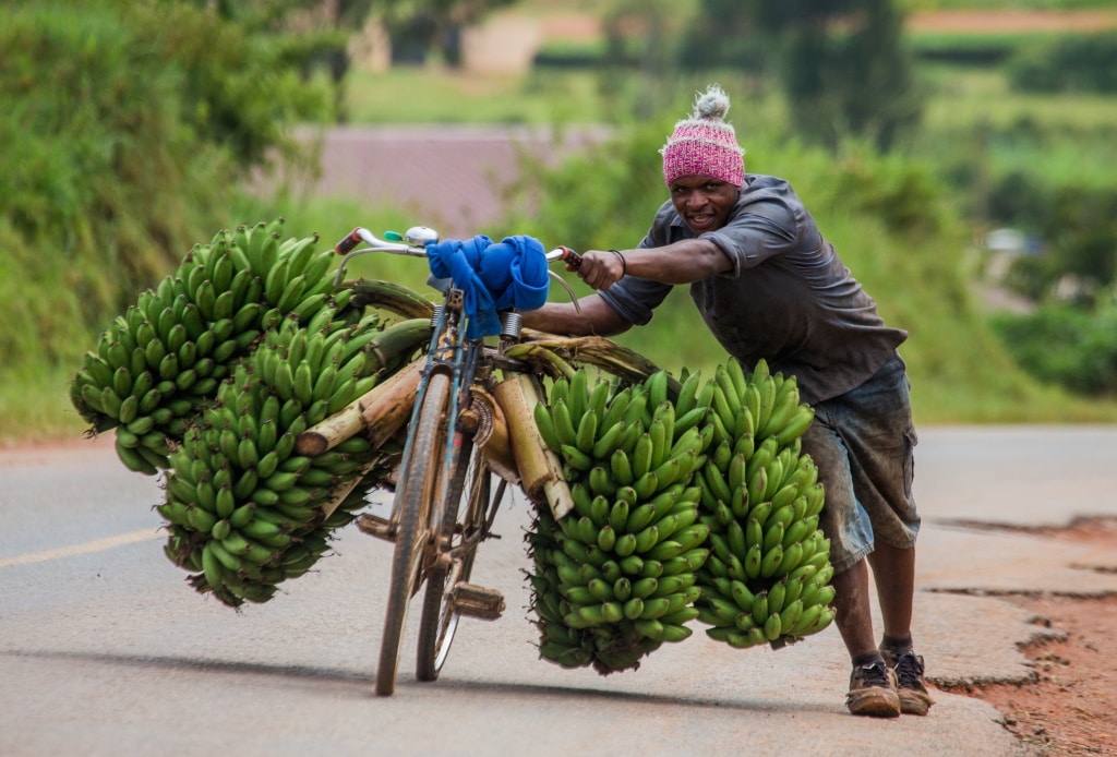 AFRIQUE : la BII accélère la finance climatique à travers des obligations vertes ©GUDKOV ANDREY/Shutterstock