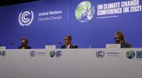 COP27 : face à l’urgence climatique, les décideurs se retrouvent le 7 novembre© Paul Adepoju /Shutterstock