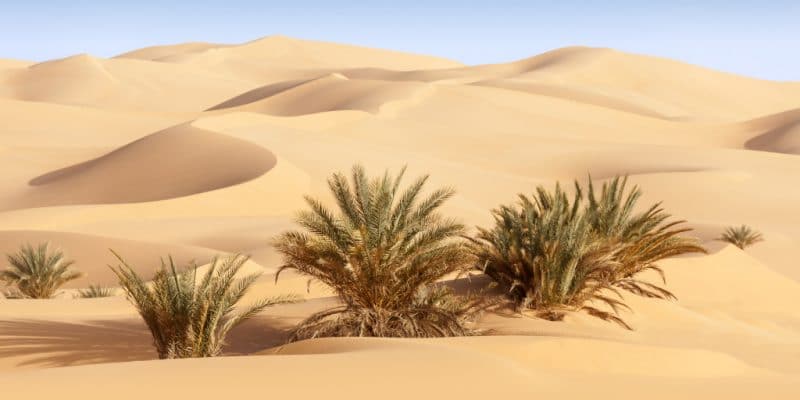 EGYPT: NREA mobilises land for the production of 60 GW of green energy ©Denis Burdin/Shutterstock