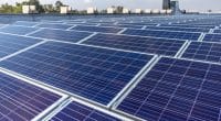 AFRIQUE DU SUD: le régulateur approuve 16 projets d’énergies vertes totalisant 211 MW©RWThomas/Shutterstock