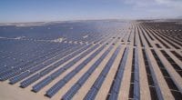 NAMIBIE : Anirep obtient la construction d’une centrale solaire (18 MWc) à Kokerboom© lightrain/Shutterstock