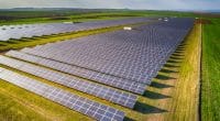 SOUTH AFRICA: AIIM invests in 3 solar plants (30 MWp) for Harmony© Todor Stoyanov/Shutterstock